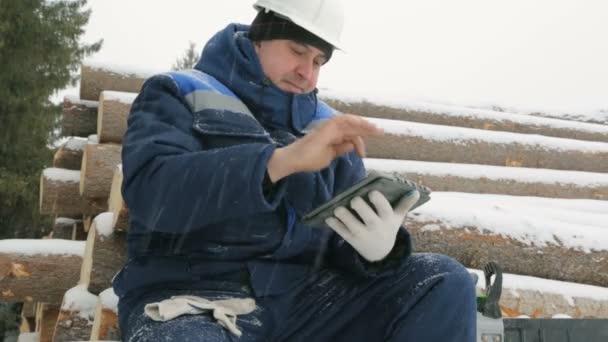 Trabalhador Com Computador Tablet Grande Pilha Toras Floresta Inverno — Vídeo de Stock