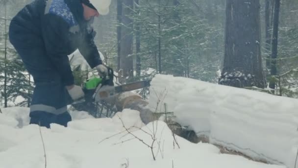 Arbetaren Såga Med Motorsåg Vinter Skog — Stockvideo