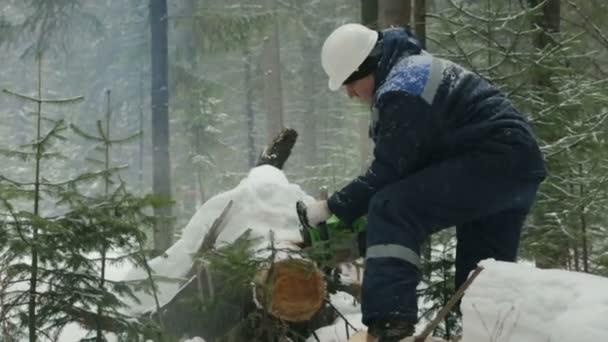 Arbetaren Såga Med Motorsåg Vinter Skog — Stockvideo