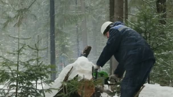 Werknemer Zagen Met Kettingzaag Winter Forest — Stockvideo