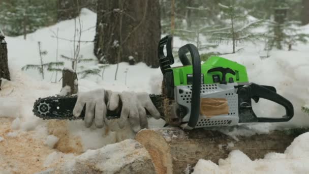 森林中的原木工作后的电锯 — 图库视频影像
