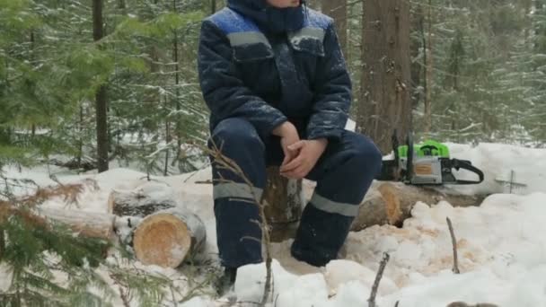 Trabalhador Descansando Log Floresta Inverno — Vídeo de Stock