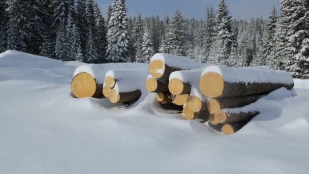 Stor Hög Stockar Vinter Skog — Stockvideo