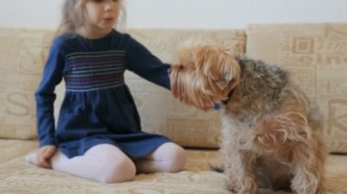 Küçük kız okşayarak köpek kanepede