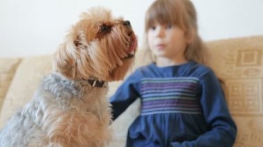Küçük kız okşayarak köpek kanepede
