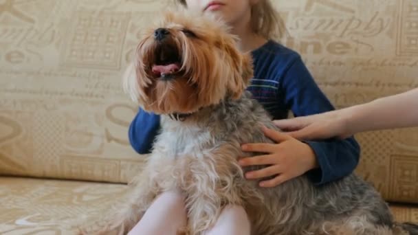 Petite Fille Avec Chien Regardant Télévision Sur Canapé — Video