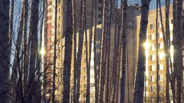 Reflejo de la luz solar en las ventanas de un edificio de apartamentos — Vídeos de Stock