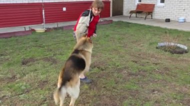 Sahibi köpeğine saldırmayı öğretiyor.