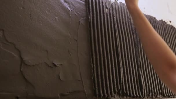 Travailleur mettre de la colle à carreaux sur le mur — Video