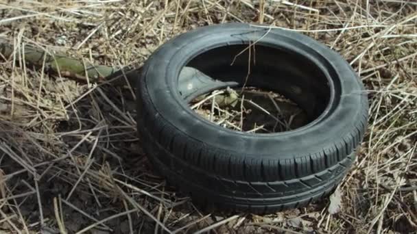 Gamla slitna däck liggande i skogen — Stockvideo