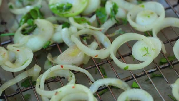 Préparation de la viande pour la cuisson au charbon de bois — Video