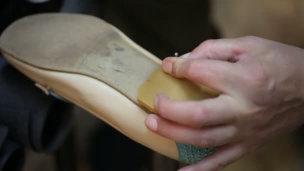 Zapatero reparando zapatos femeninos. Disparo cerrado . — Vídeos de Stock