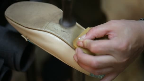 Schoenmaker repareert vrouwelijke schoen. Dichtbij schot. — Stockvideo