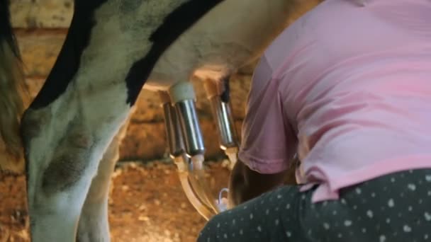 Máquina de ordenha em cowshed closeup — Vídeo de Stock