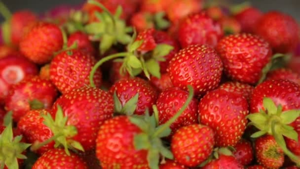 Φράουλες σε μπολ σε κοντινό πλάνο — Αρχείο Βίντεο