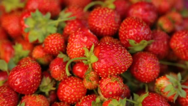 Strawberries in bowl in closeup — Stock Video