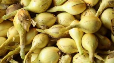 Yakın planda soğan yığını