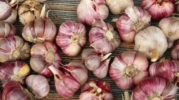 Pile of garlic in closeup — Stock Video