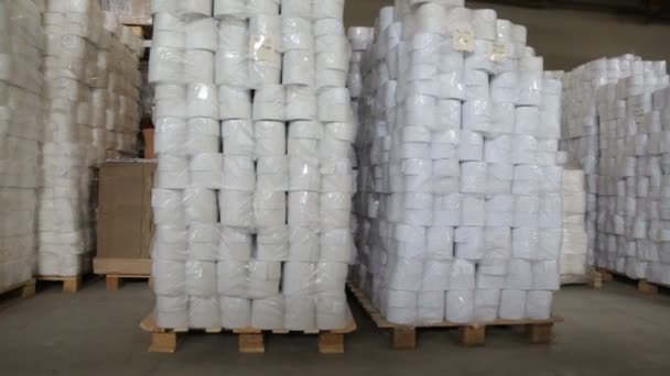 Rollos de papel en la fábrica de fabricación de papel — Vídeos de Stock