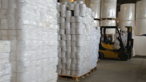 Rollos de papel en la fábrica de fabricación de papel — Vídeos de Stock