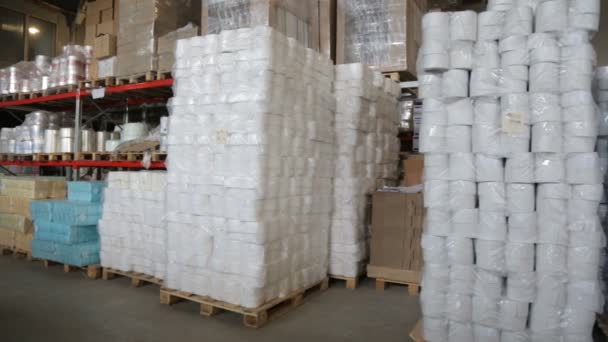 Rollos de papel en la fábrica de fabricación de papel — Vídeos de Stock