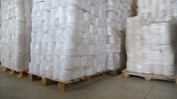 Rollos de papel en la fábrica de fabricación de papel — Vídeos de Stock