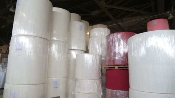 Рулони паперу на заводі з виробництва паперу — стокове відео