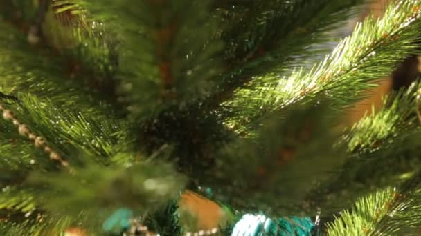 Julgran dekoration i närbild — Stockvideo