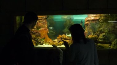 İnsanlar akvaryumdaki balıklara bakıyor.