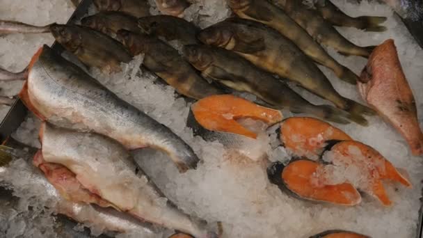 Ryby v detailu v obchodě s potravinami — Stock video