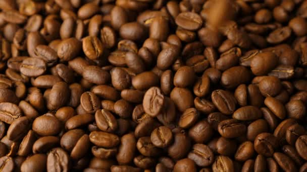 Kávová zrna padající ve zpomaleném filmu — Stock video