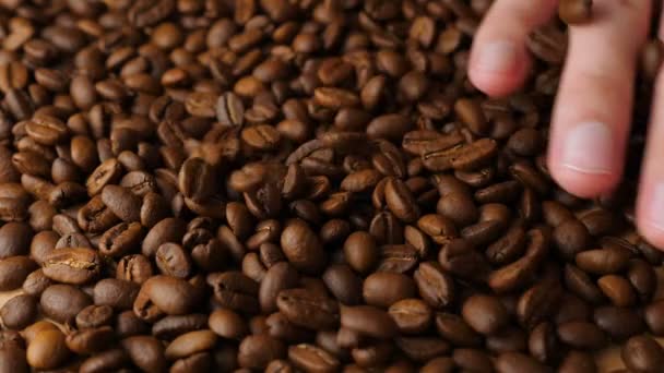Feijões de café caindo em câmera lenta — Vídeo de Stock
