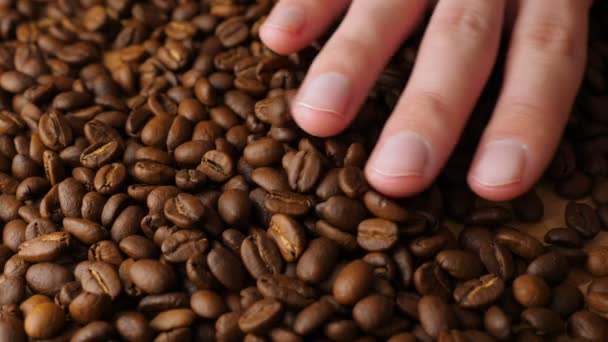 Kaffebönor som faller i slow motion — Stockvideo