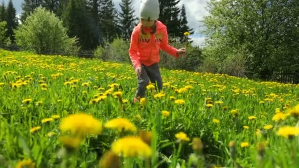 Niña en el prado de diente de león — Vídeo de stock