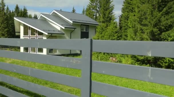 Pequena casa única na floresta — Vídeo de Stock