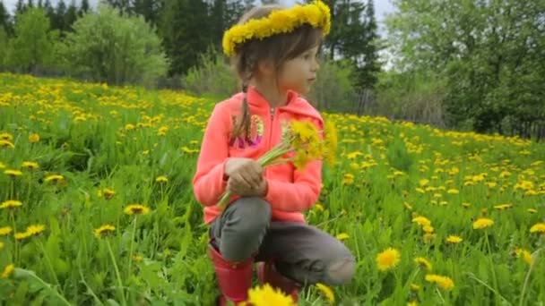 Petite fille sur la prairie de pissenlit — Video