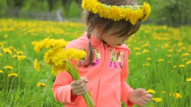 Little girl on dandelion meadow — Stock Video