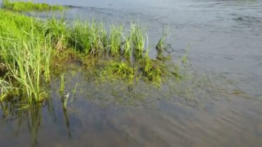 Yaz gününde nehrin hızlı akışı