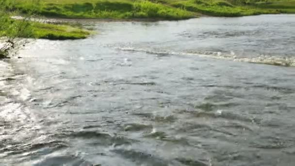 Courant rapide de la rivière en journée d'été — Video