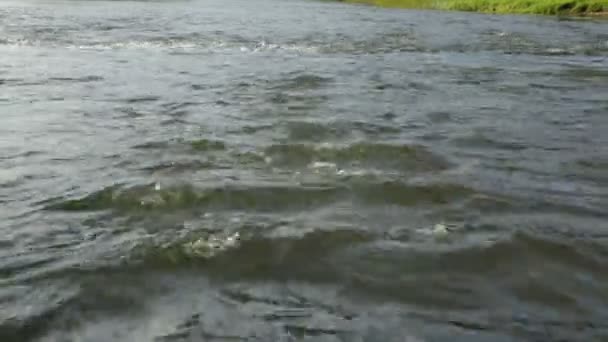 Snelle stroming van de rivier in de zomerdag — Stockvideo