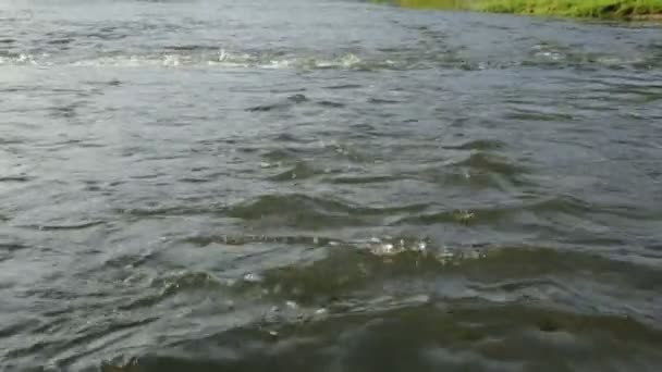 Courant rapide de la rivière en journée d'été — Video