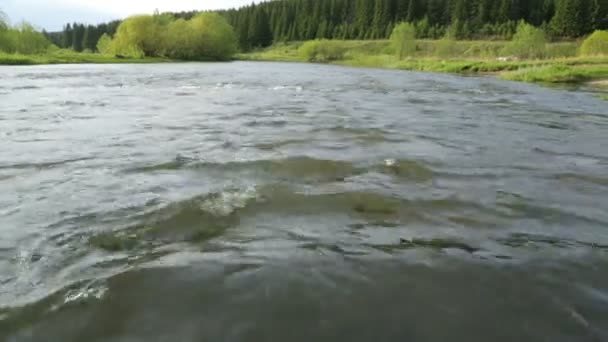 Rapid current of river in summer day — Stock Video