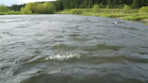 Rychlý proud řeky v letním dni — Stock video
