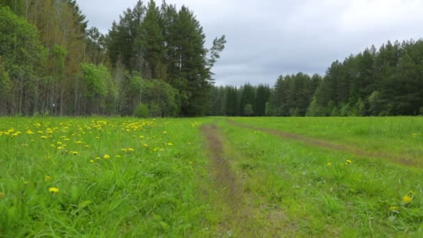 Landstraße auf dem Feld — Stockvideo