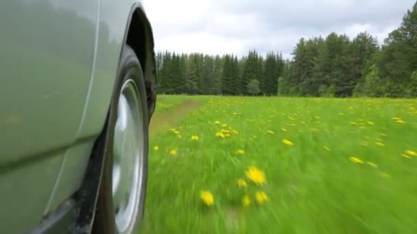 Tarlada kırsal yolda araba sürerken — Stok video