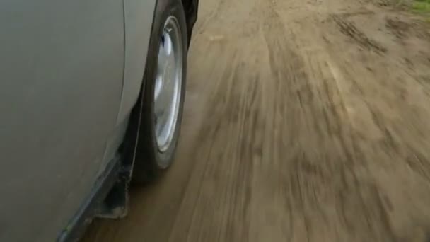 Kırsal yolda araba kullanmak — Stok video