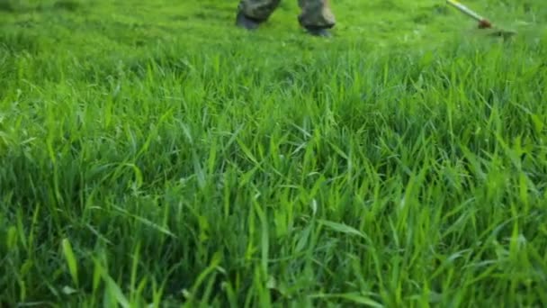 El hombre está segando en el prado de diente de león — Vídeos de Stock