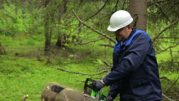 Man met kettingzaag aan het werk in het bos — Stockvideo