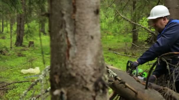 带链锯的人在森林里干活 — 图库视频影像