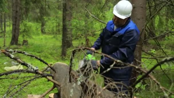 Uomo con motosega che lavora nella foresta — Video Stock